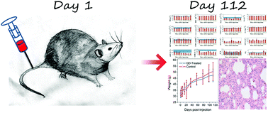 Graphical abstract: Toxicity assessment of phospholipid micelle-encapsulated cadmium-based quantum dots using Kunming mice