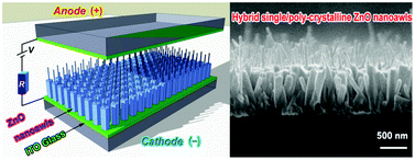 Graphical abstract: Hybrid single/poly-crystalline ZnO nanoawl arrays: facile synthesis and enhanced field emission properties