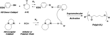 Graphical abstract: Ring-opening polymerization of lactones using supramolecular organocatalysts under simple conditions