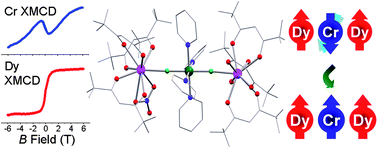 Graphical abstract: Direct observation of a ferri-to-ferromagnetic transition in a fluoride-bridged 3d–4f molecular cluster