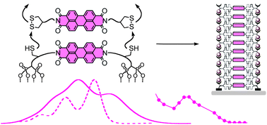 Graphical abstract: Self-organizing surface-initiated polymerization of perylenediimides on indium tin oxides