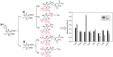 Graphical abstract: Development of a solid phase synthesis strategy for soluble phosphoinositide analogues