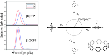 Graphical abstract: Origin of the size-dependent fluorescence blueshift in [n]cycloparaphenylenes
