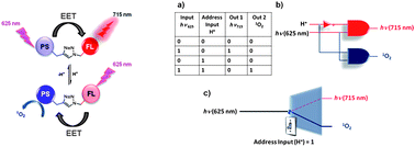 Graphical abstract: Proof of principle for a molecular 1 : 2 demultiplexer to function as an autonomously switching theranostic device