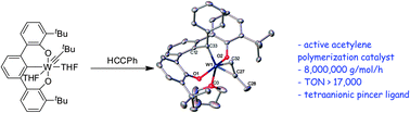 Graphical abstract: Compelling mechanistic data and identification of the active species in tungsten-catalyzed alkyne polymerizations: conversion of a trianionic pincer into a new tetraanionic pincer-type ligand