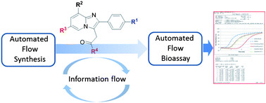 Graphical abstract: Flow chemistry synthesis of zolpidem, alpidem and other GABAA agonists and their biological evaluation through the use of in-line frontal affinity chromatography