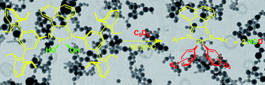 Graphical abstract: Arene C–H bond activation across Pt(ii)–OH bonds: catalyzed vs. uncatalyzed pathways