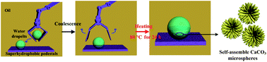 Graphical abstract: A heatable and evaporation-free miniature reactor upon superhydrophobic pedestals