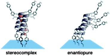 Graphical abstract: Vertical orientation with a narrow distribution of helical peptides immobilized on a quartz substrate by stereocomplex formation