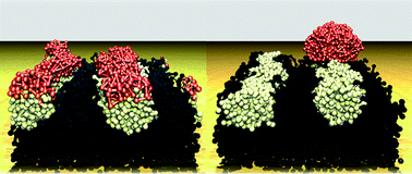 Graphical abstract: Assembly of nano-particles on diblock copolymer brushes: toward laterally nano-structured composites