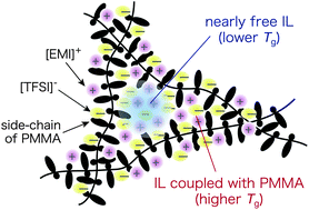 Graphical abstract: Microscopic insights into ion gel dynamics using neutron spectroscopy