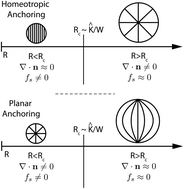 Graphical abstract: Morphological transitions in liquid crystal nanodroplets