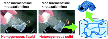 Graphical abstract: Time-dependent heterogeneity in viscoelastic properties of worm-like micelle solutions