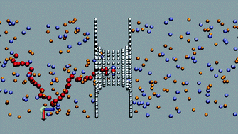 Graphical abstract: Effects of dielectric mismatch and chain flexibility on the translocation barriers of charged macromolecules through solid state nanopores