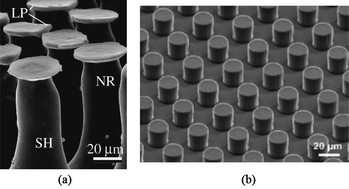 Graphical abstract: Effect of interfacial air entrapment on the adhesion of bio-inspired mushroom-shaped micro-pillars