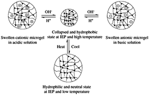 Graphical abstract: Amphoteric nano-, micro-, and macrogels, membranes, and thin films