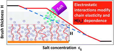 Graphical abstract: Ionic strength dependence of polyelectrolyte brush thickness