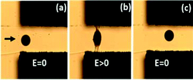 Graphical abstract: Smart electroresponsive droplets in microfluidics