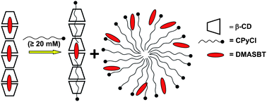 Graphical abstract: A cationic surfactant-concentration dependent binding of a guest molecule with the nanotubes of β-cyclodextrin and its release from the nanotubular cavities