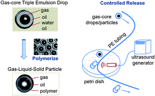Graphical abstract: Gas-core triple emulsions for ultrasound triggered release