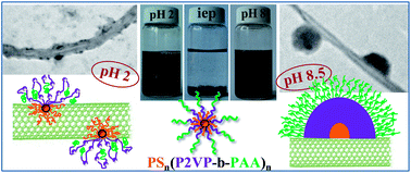 Graphical abstract: pH responsive MWCNT–star terpolymer nanohybrids