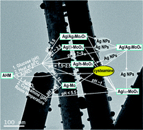 Graphical abstract: Low temperature synthesis and SERS application of silver molybdenum oxides