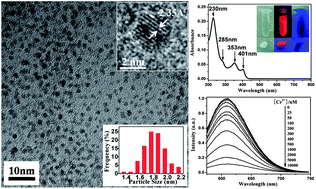 Graphical abstract: 11-Mercaptoundecanoic acid directed one-pot synthesis of water-soluble fluorescent gold nanoclusters and their use as probes for sensitive and selective detection of Cr3+ and Cr6+
