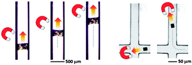 Graphical abstract: Positioning an individual metal–organic framework particle using a magnetic field