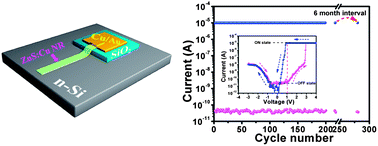 Graphical abstract: Large conductance switching nonvolatile memories based on p-ZnS nanoribbon/n-Si heterojunction