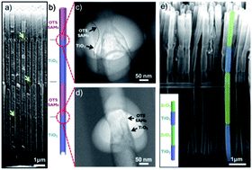 Graphical abstract: Multisegmented nanotubes by surface-selective atomic layer deposition