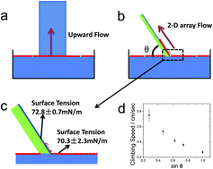 Graphical abstract: Vertical spreading of two-dimensional crystalline colloidal arrays