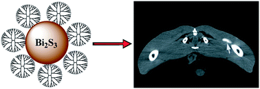 Graphical abstract: Dendrimer-stabilized bismuth sulfide nanoparticles: synthesis, characterization, and potential computed tomography imaging applications