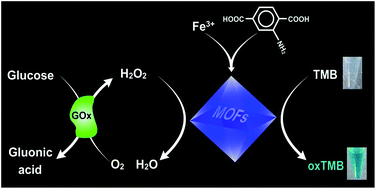 Graphical abstract: A nanosized metal–organic framework of Fe-MIL-88NH2 as a novel peroxidase mimic used for colorimetric detection of glucose