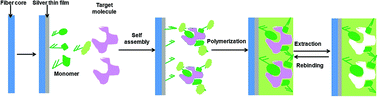 Graphical abstract: Optical fiber sensor for the detection of tetracycline using surface plasmon resonance and molecular imprinting