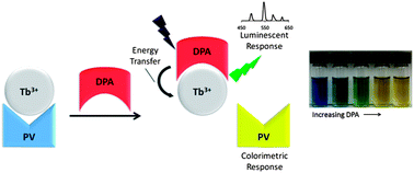 Graphical abstract: Dual colorimetric and luminescent assay for dipicolinate, a biomarker of bacterial spores