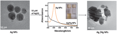 Graphical abstract: Silver nanoparticles embedded in cyclodextrin–silicate composite and their applications in Hg(ii) ion and nitrobenzene sensing