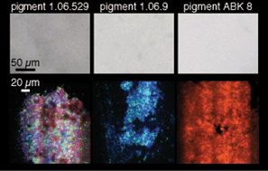 Graphical abstract: A multiscalar photoluminescence approach to discriminate among semiconducting historical zinc white pigments