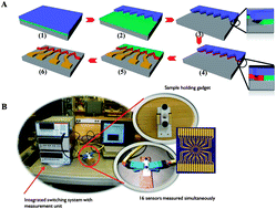 Graphical abstract: Polypyrrole nanoribbon based chemiresistive immunosensors for viral plant pathogen detection