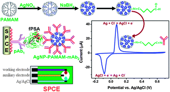 Graphical abstract: Electroactive dendrimer-encapsulated silver nanoparticles for sensing low-abundance proteins with signal amplification