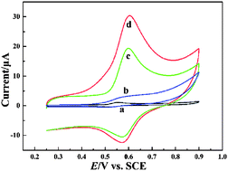 Graphical abstract: Fabrication of a CuS/graphene nanocomposite modified electrode and its application for electrochemical determination of esculetin