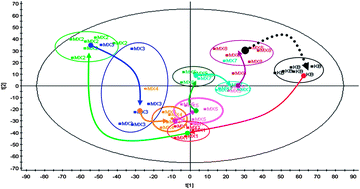 Graphical abstract: Trajectory analysis of metabolomics profiling in liver injured rats using ultra-performance liquid chromatography coupled with mass spectrometry