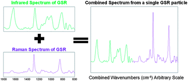 Graphical abstract: Advanced statistical analysis and discrimination of gunshot residue implementing combined Raman and FT-IR data