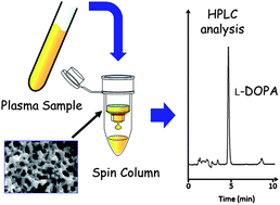 Graphical abstract: A simple analytical method involving the use of a monolithic silica disk-packed spin column and HPLC-ECD for determination of l-DOPA in plasma of patients with Parkinson's disease