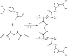 Graphical abstract: Development of poly((3-acrylamidophenyl)boronic acid-co-N,N-methylenebisacrylamide) monolithic capillary for the selective capture of cis-diol biomolecules