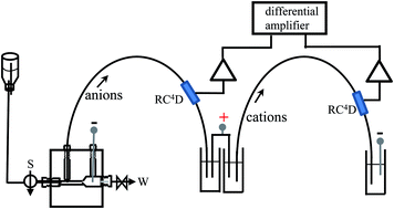Graphical abstract: Determination of water-soluble ions in PM2.5 using capillary electrophoresis with resonant contactless conductometric detectors in a differential model