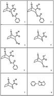 Graphical abstract: Determination of cocaine, its metabolites and pyrolytic products by LC-MS using a chemometric approach