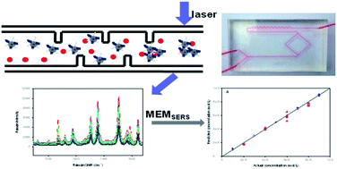 Graphical abstract: Improving the quantitative accuracy of surface-enhanced Raman spectroscopy by the combination of microfluidics with a multiplicative effects model