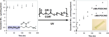Graphical abstract: Photo-crosslinked biodegradable elastomers for controlled nitric oxide delivery