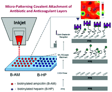 Graphical abstract: Micro-patterning of streptavidin–biotin-ampicillin/heparin on poly(tetrafluoroethylene) (PTFE) surfaces: simultaneous antimicrobial and anticoagulant activity