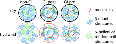 Graphical abstract: Micromechanical characterization of spider silk particles